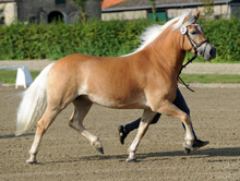 Amie von Alabaster B