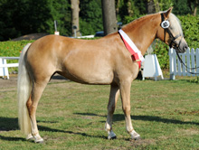 Amie von Alabaster B